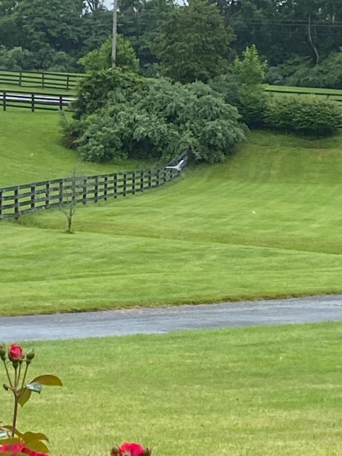 Pillow And Paddock B&B La Grange Exterior photo