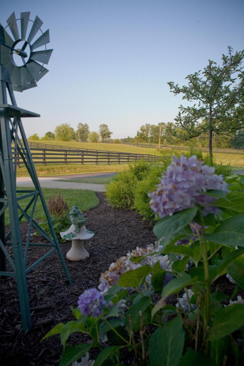 Pillow And Paddock B&B La Grange Exterior photo